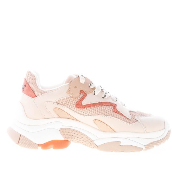 ASH donna sneaker Addict in nabuk e tessuto BEIGE più rosa - immagine 5