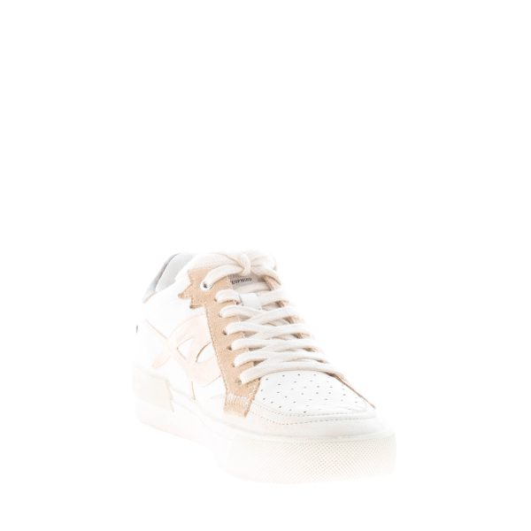 ASH donna sneaker Moonlight in pelle anticata AVORIO più ORO e beige - immagine 6