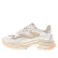 ASH donna sneaker Addict in pelle e tessuto BIANCO più oro