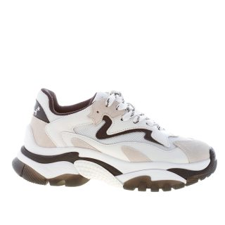 Home Page shop online Strike Calzature